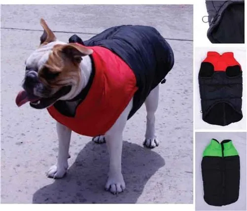 Big Dog Sports Vest In Green